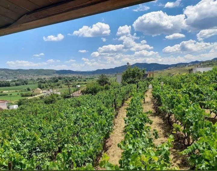 Vila Shehi Guesthouse And Winery Mucaj Exterior photo